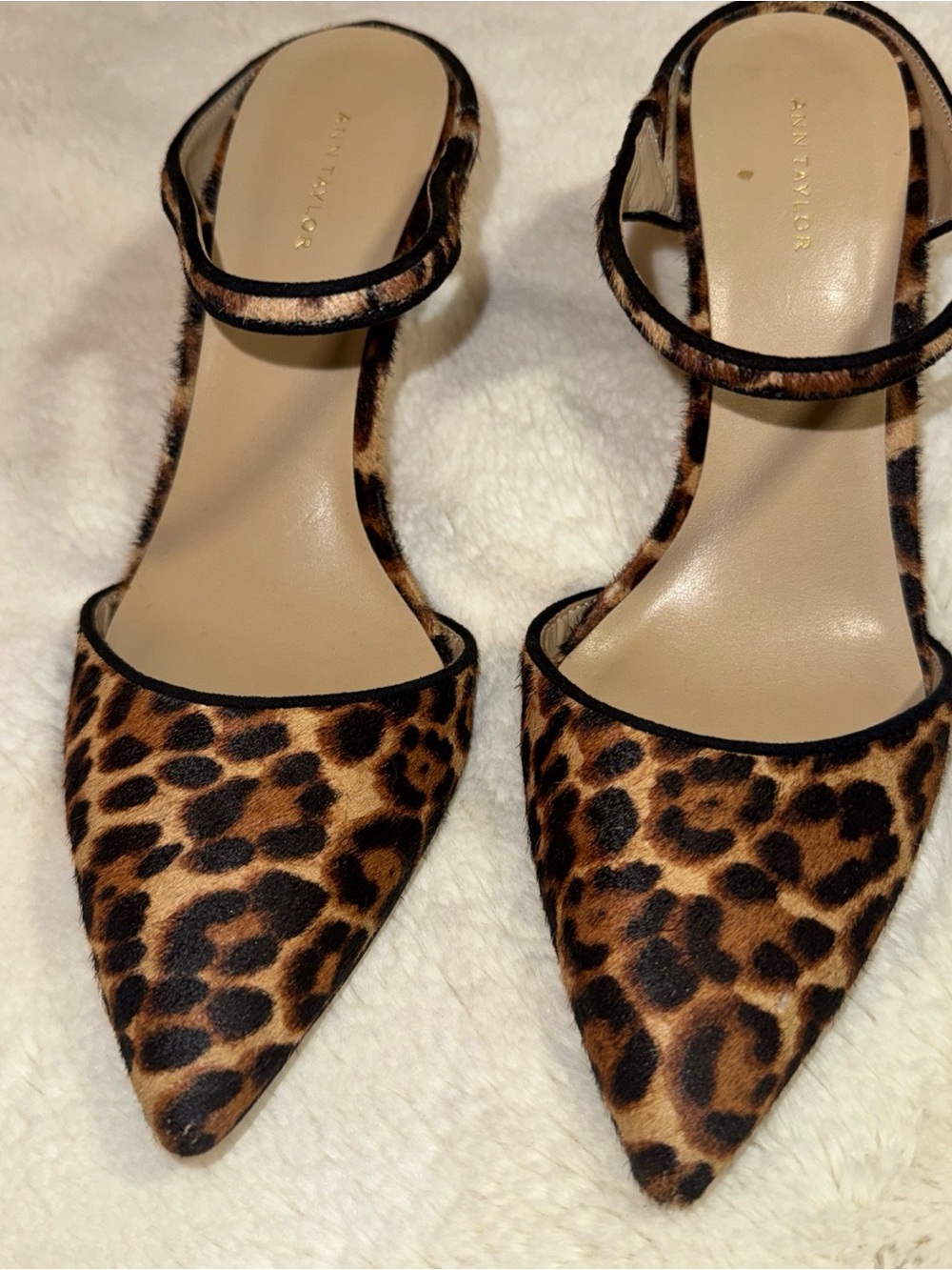 Ann Taylor Leopard-Print Pointed Toe Ankle Strap Flats - Brown/Black